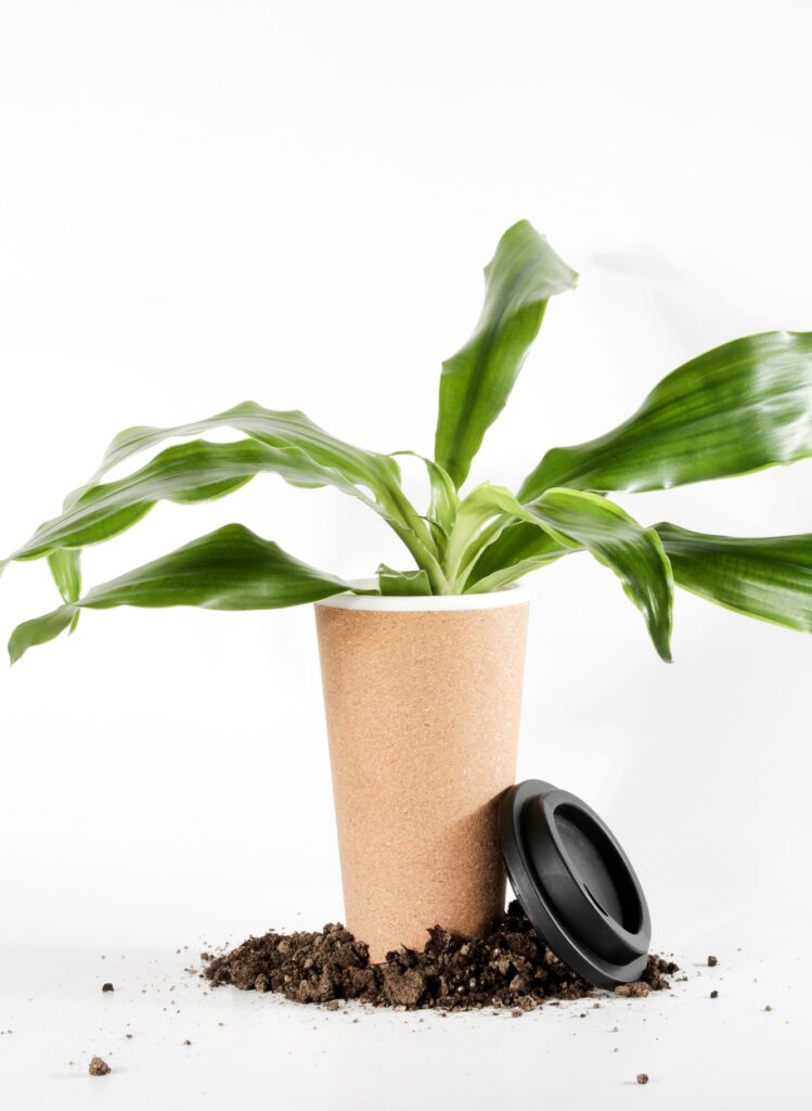 plant in reusable eco cup with ground on white background. Sustainable lifestyle. Eco friendly